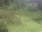 Land For Sale in Mathugama Road Nebada Anguruwatota