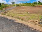 Land for Sale in Mathugama,dodangoda,yatadola