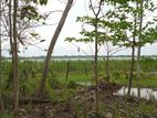 Land for Sale in Mattala Hambantota