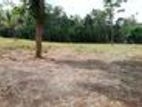 Land for Sale in Mattegoda, Kudamaduwa