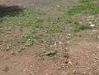Land for sale in mattegoda. Ls-697
