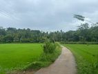 Land For Sale In Mawanella