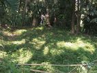 Land for Sale in Mawanella