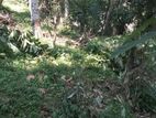 Land for Sale in Mawanella