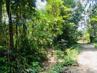 Land for sale in Mawanella