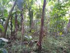 Land for sale in Mawanella