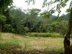 Land for sale in Mawanella, Uthuwankanda