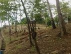 Land for Sale in Mawanella, Uthuwankanda