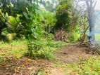 Land for Sale in Mawaramandiya 20P