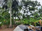 Land for Sale in Mawathagama, Kurunegala
