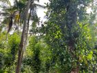 Land for Sale in Medagampitiya, Divulapitiya