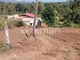 Land For Sale in Meddegama, Kurunegala