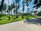 Land for Sale in Meegahawatta Delgoda