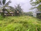 Land for Sale in Meegahawatta, Delgoda