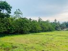 Land For Sale In Meegahawatta, Delgoda