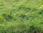 Land for Sale in Meegahawatta