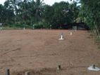 Land for Sale in Meegoda