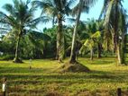 Land for Sale in Meegoda