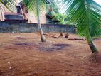 Land for Sale in Meegoda