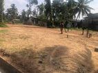 Land for Sale in Meegoda (sspl-17)