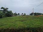 Land for sale in Meegoda Town