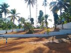 Land for Sale in Meepawala
