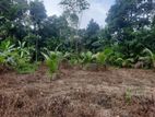 Land for Sale in Meepe