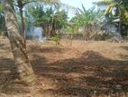 Land for Sale in Meepe