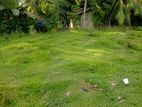 Land For Sale in Meepe