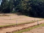 land for sale in meepe ( near to highlevel road)