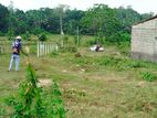 Land for Sale In Meepe School Road