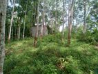 Land FoR Sale In Meerigama