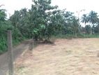 Land for Sale in Meerigama - T92