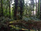 Land for Sale in Meetiyagoda