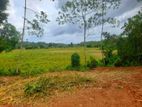 Land for sale in Meewanapalana