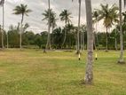 Land for Sale in Mellawagedara