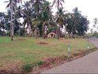Land for Sale in Mellawagedara