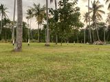 Land for Sale in Mellawagedara