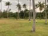 Land for sale in Mellawagedara