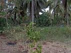 Land for Sale in Melsiripura