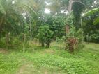 Land for Sale in Melsiripura, Kurunegala