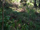 Land for Sale in Menikhinna