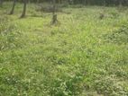 Land for sale in Merigama