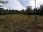 Land for Sale in Middeniya - Welipitiya