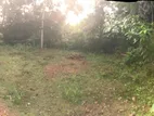 Land for Sale in Midigama