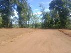 Land for Sale in මීගොඩ