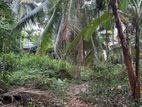 Land For Sale in Millagahawatte, Imbulgoda (SSPL-158)