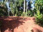 Land for Sale in Minuwangoda 20 P