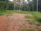 Land for Sale in Minuwangoda - Adiambalama (Big City).