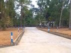 Land for sale in Minuwangoda Ballapana
